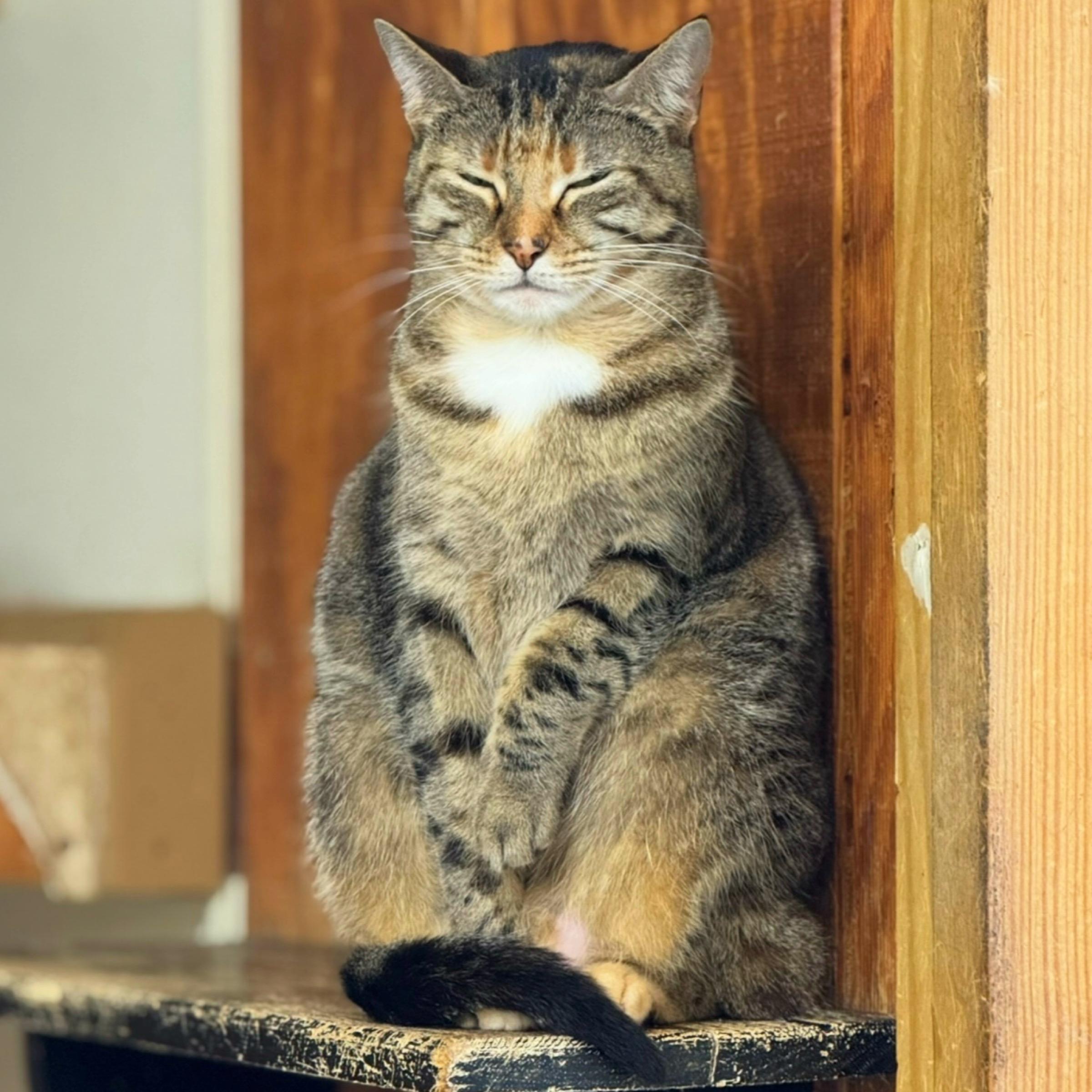 Selina — thumbnail 5