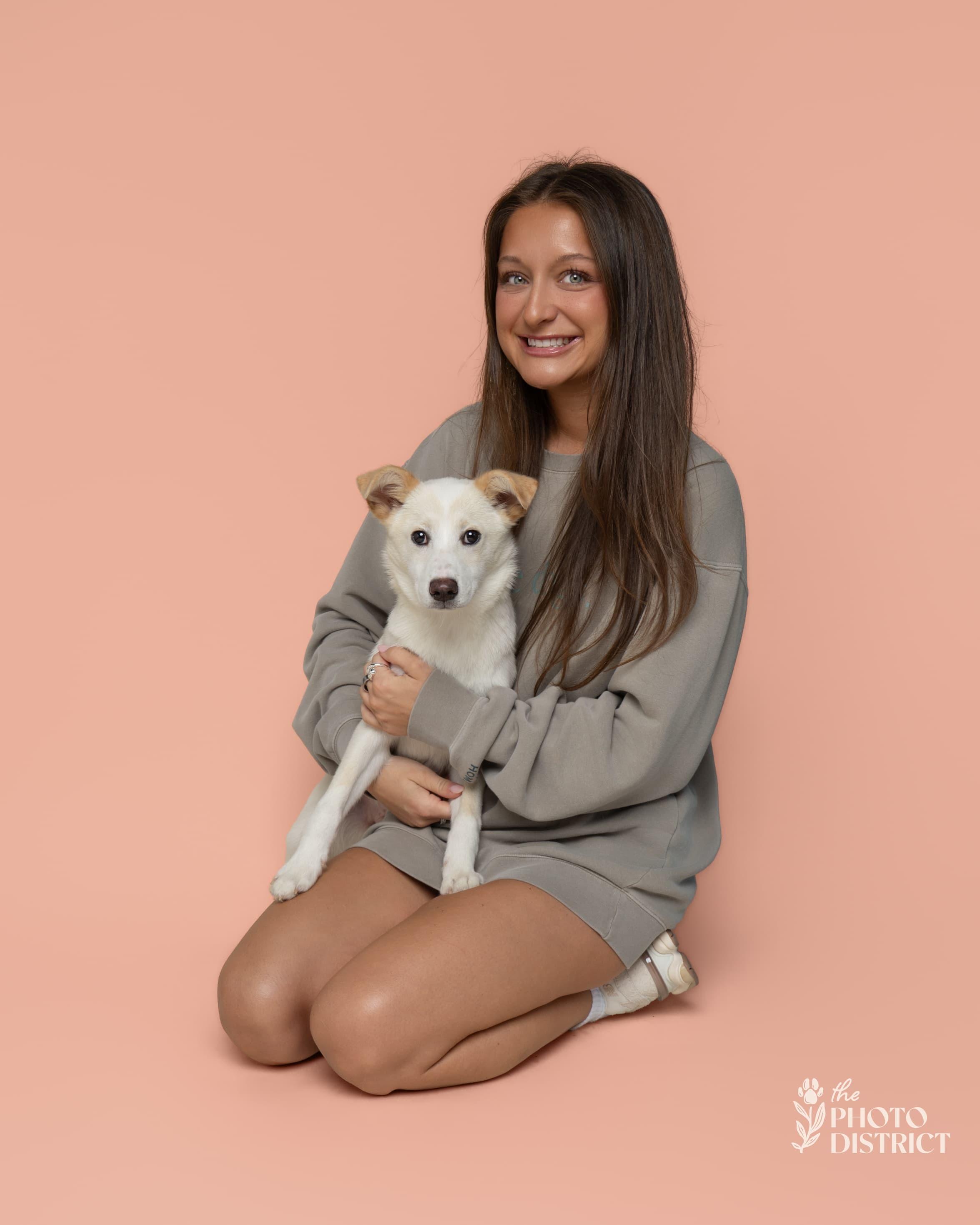 Ivory, an adopted mixed breed in Manhasset, NY image 2/6