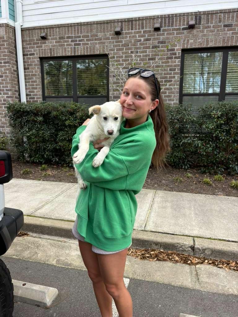 Enlarge Ivory, a ADOPTABLE mixed breed in Manhasset, NY image 2/6