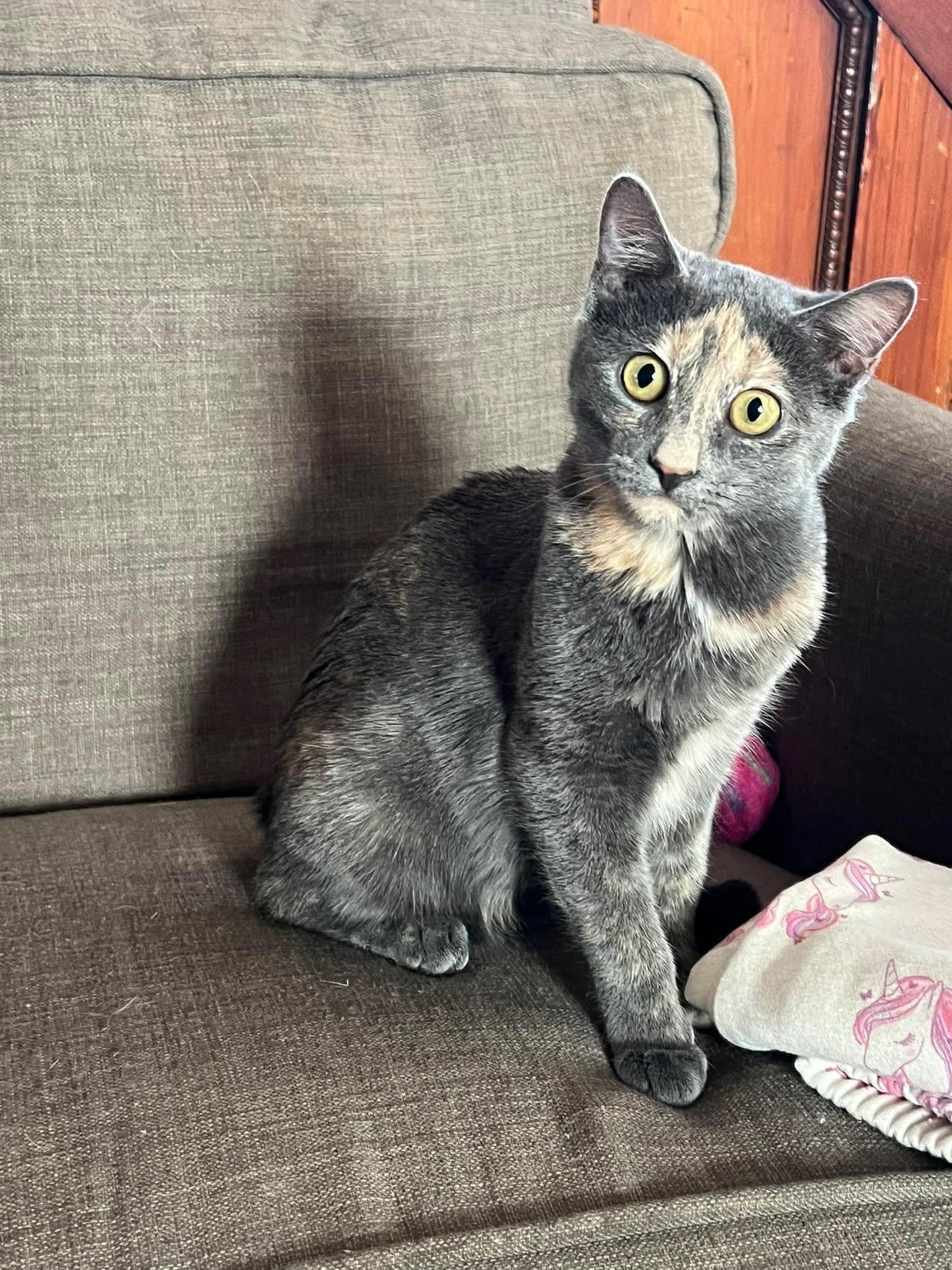 Kiko