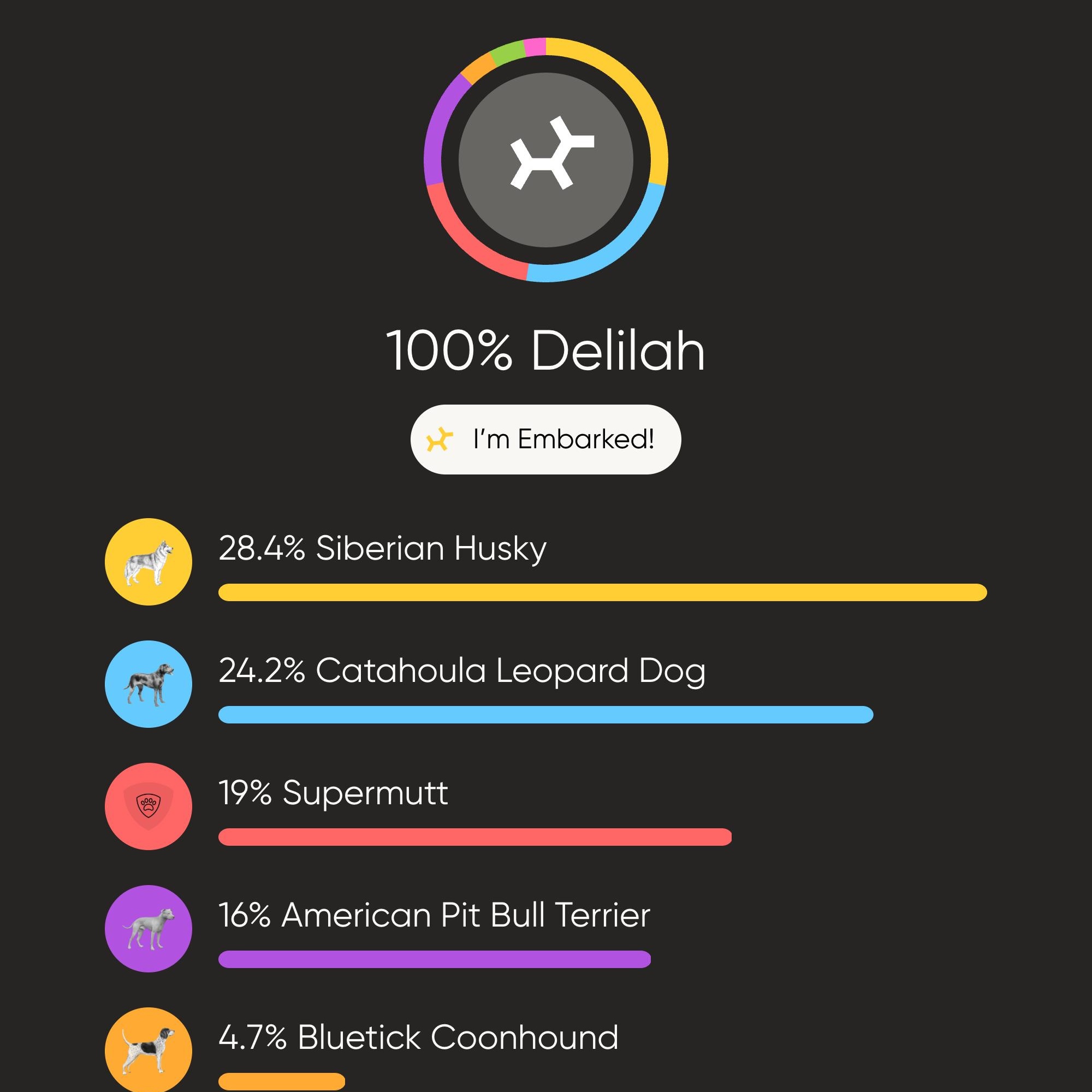 Enlarge Delilah, an adoptable mixed breed in Charlotte, NC image 4/4