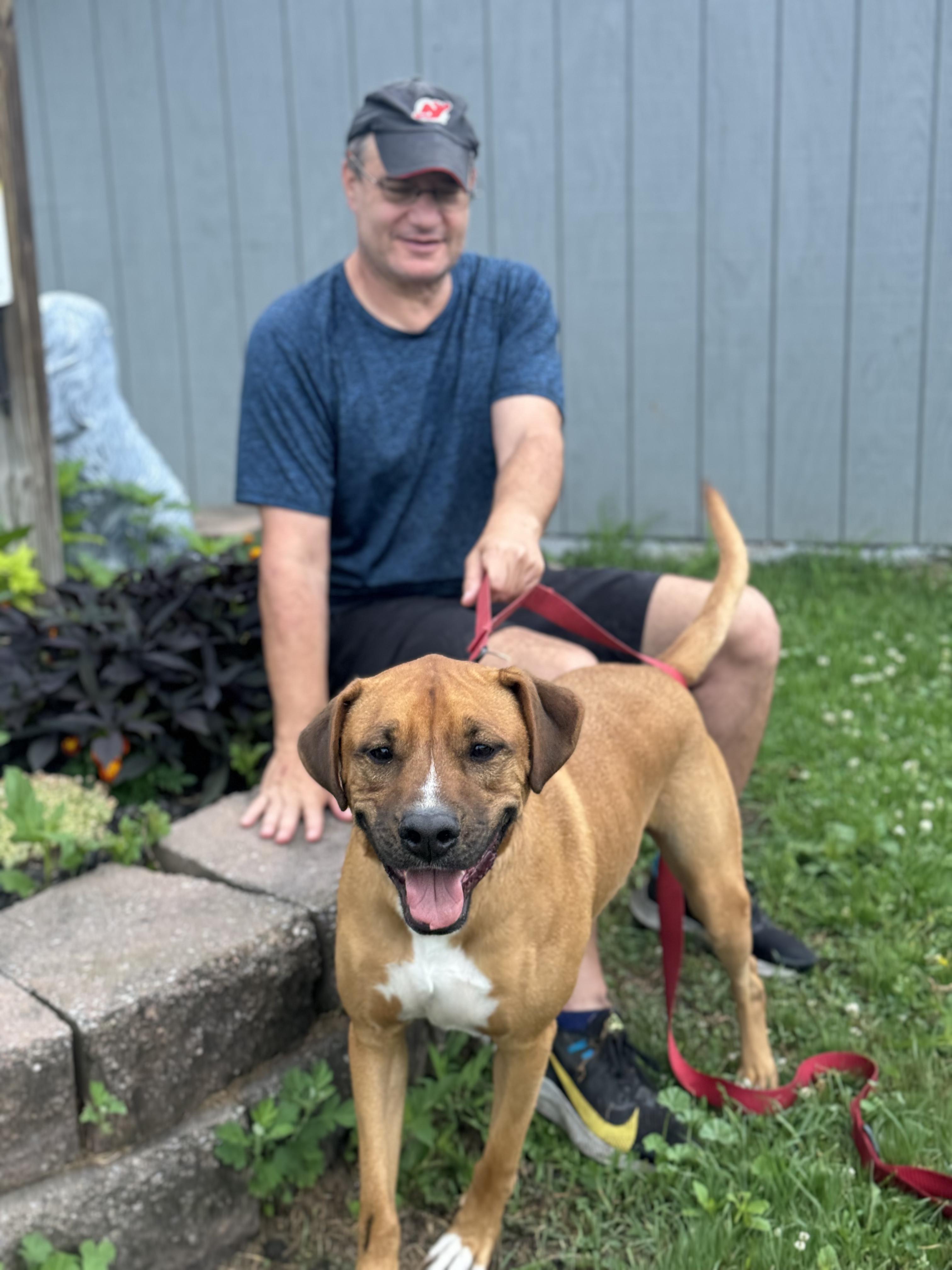 Bruce, a Adoptable mixed breed in Rock Hill, NY image 5/5