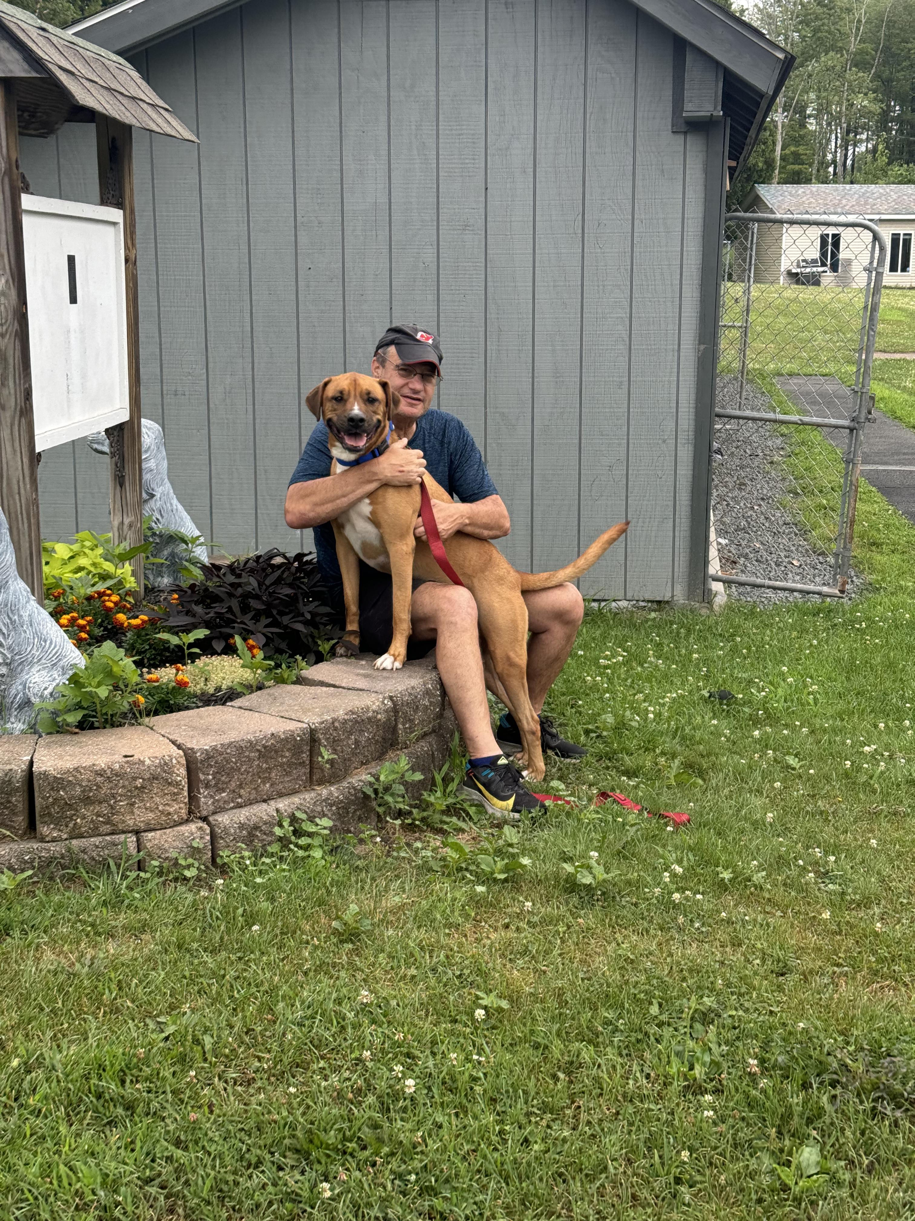 Bruce, a Adoptable mixed breed in Rock Hill, NY image 2/5