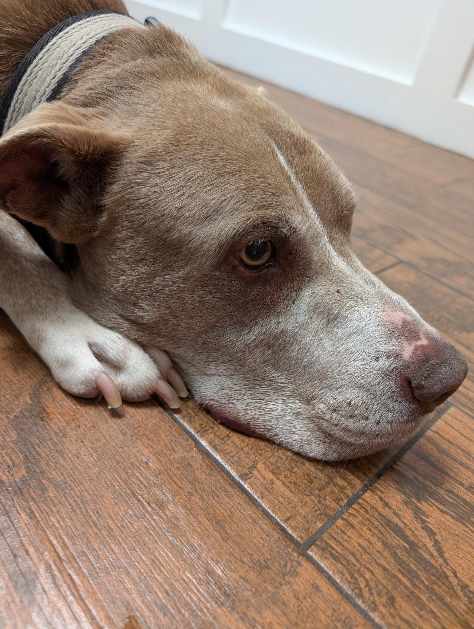 Rudy