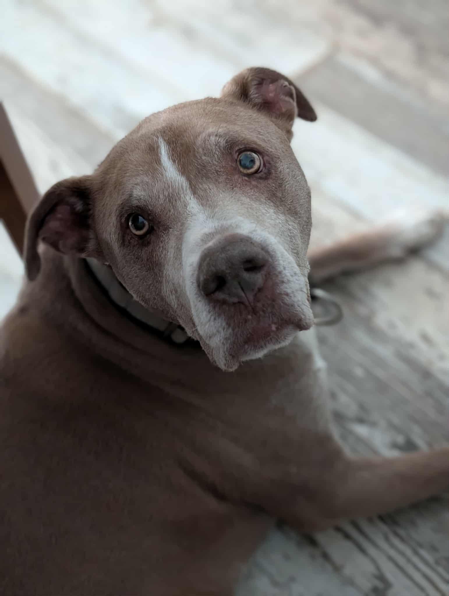 Rudy