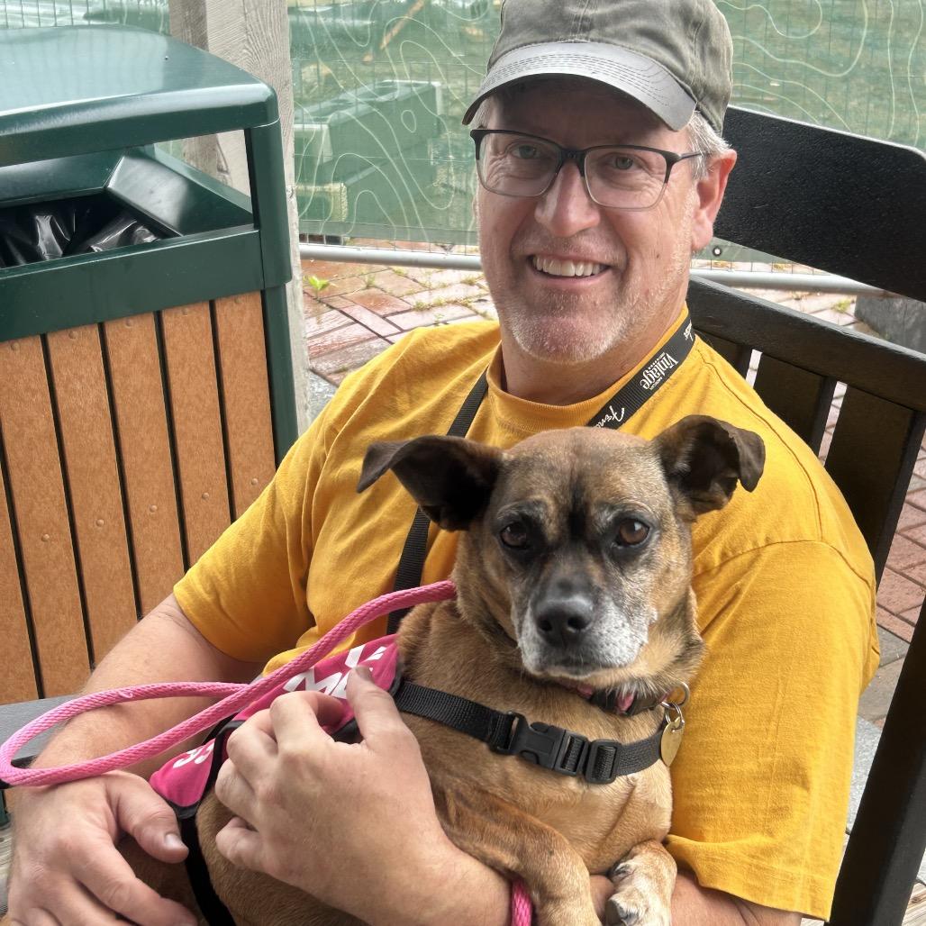 Roxy, a Adoptable mixed breed in Fairfax, VA image 5/6