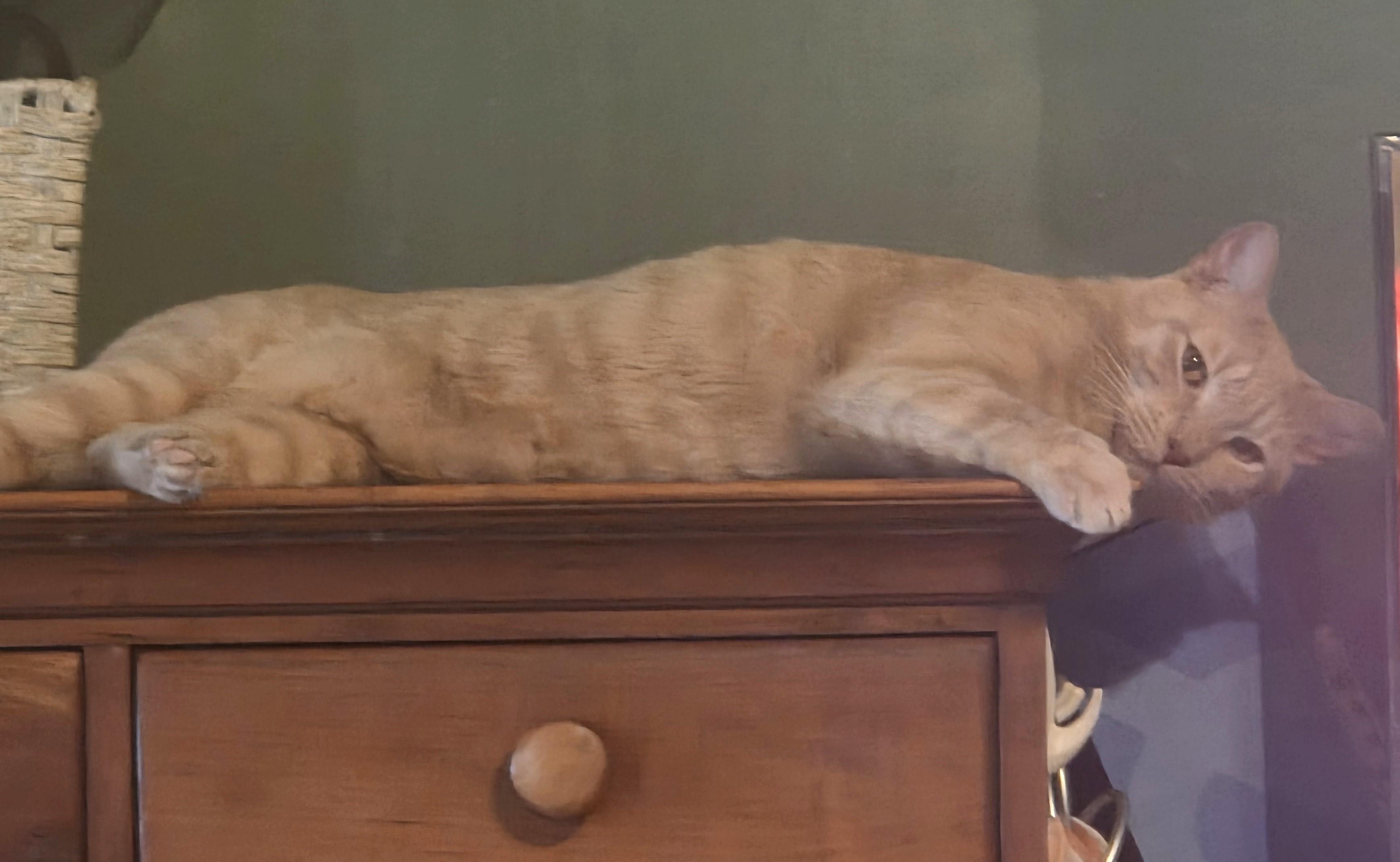 Nimbus -- Courtesy Post