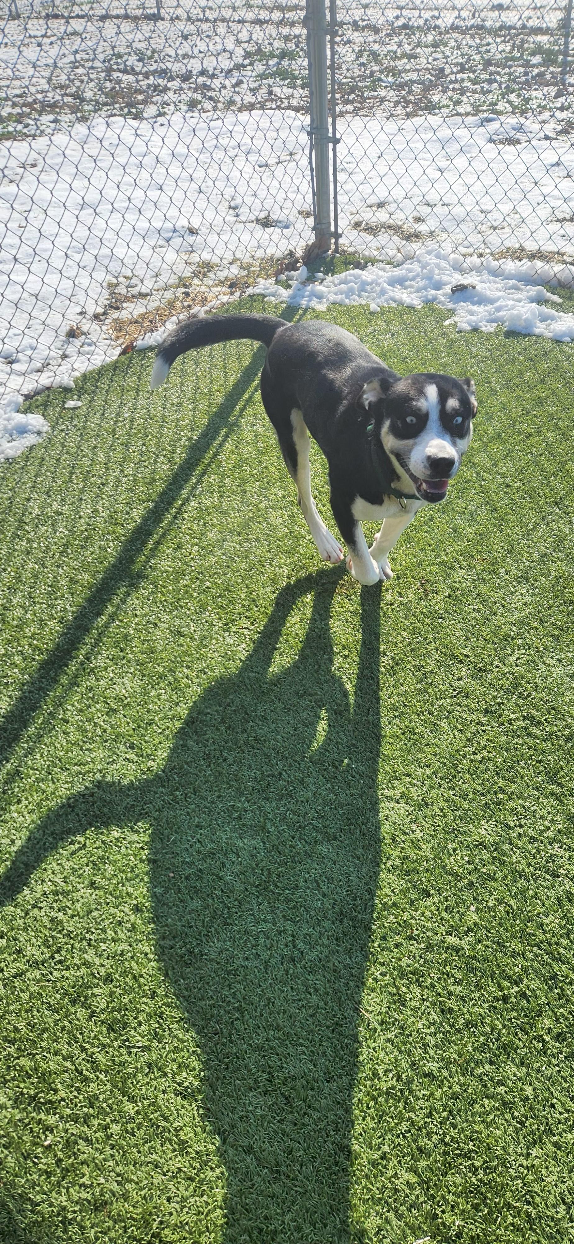 Maverick thumbnail 3