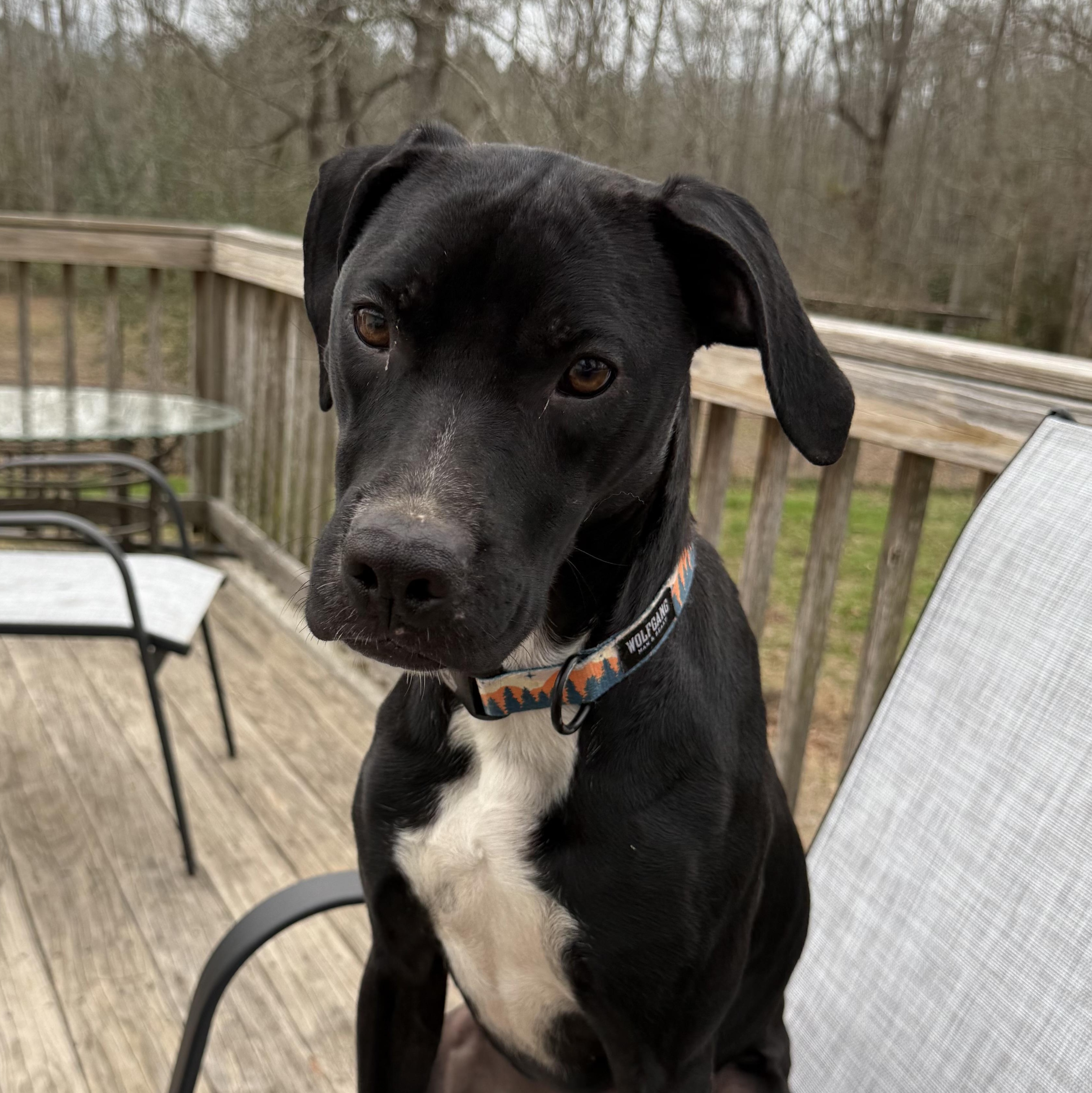 Lilo — thumbnail 4