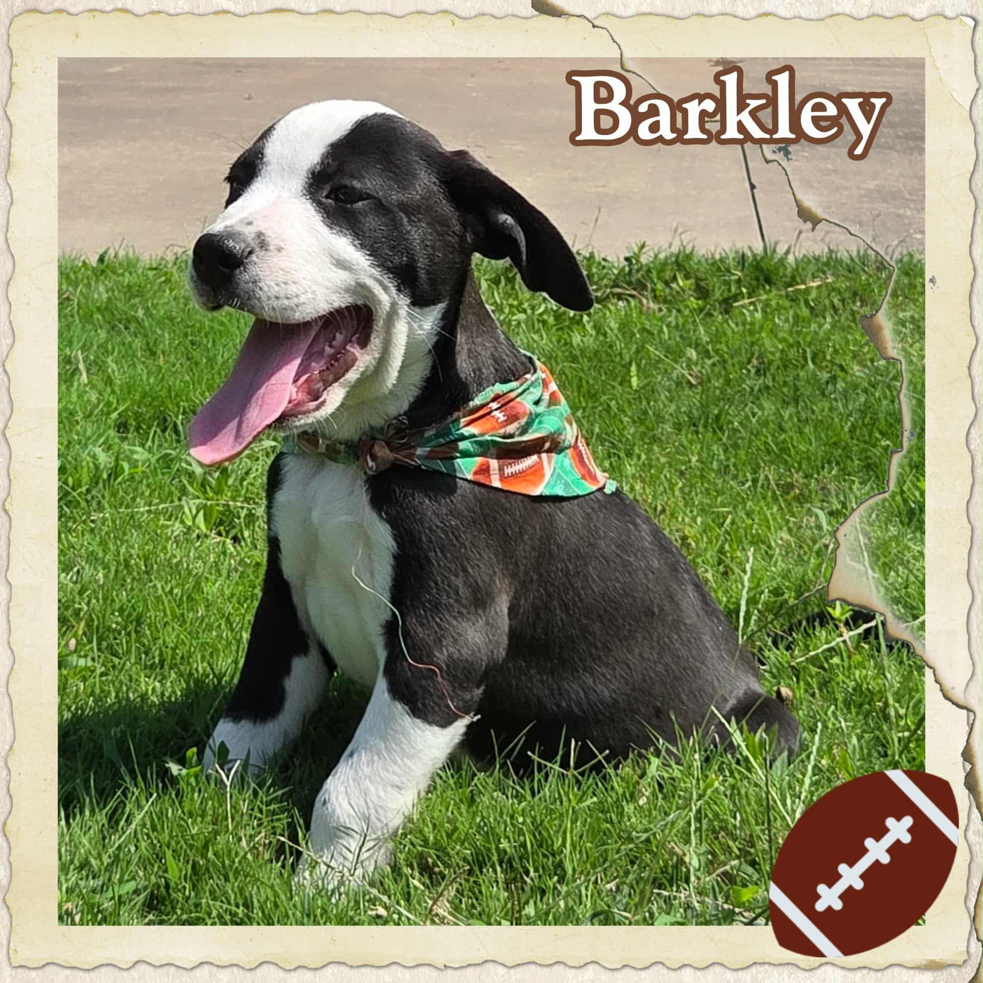 Barkley