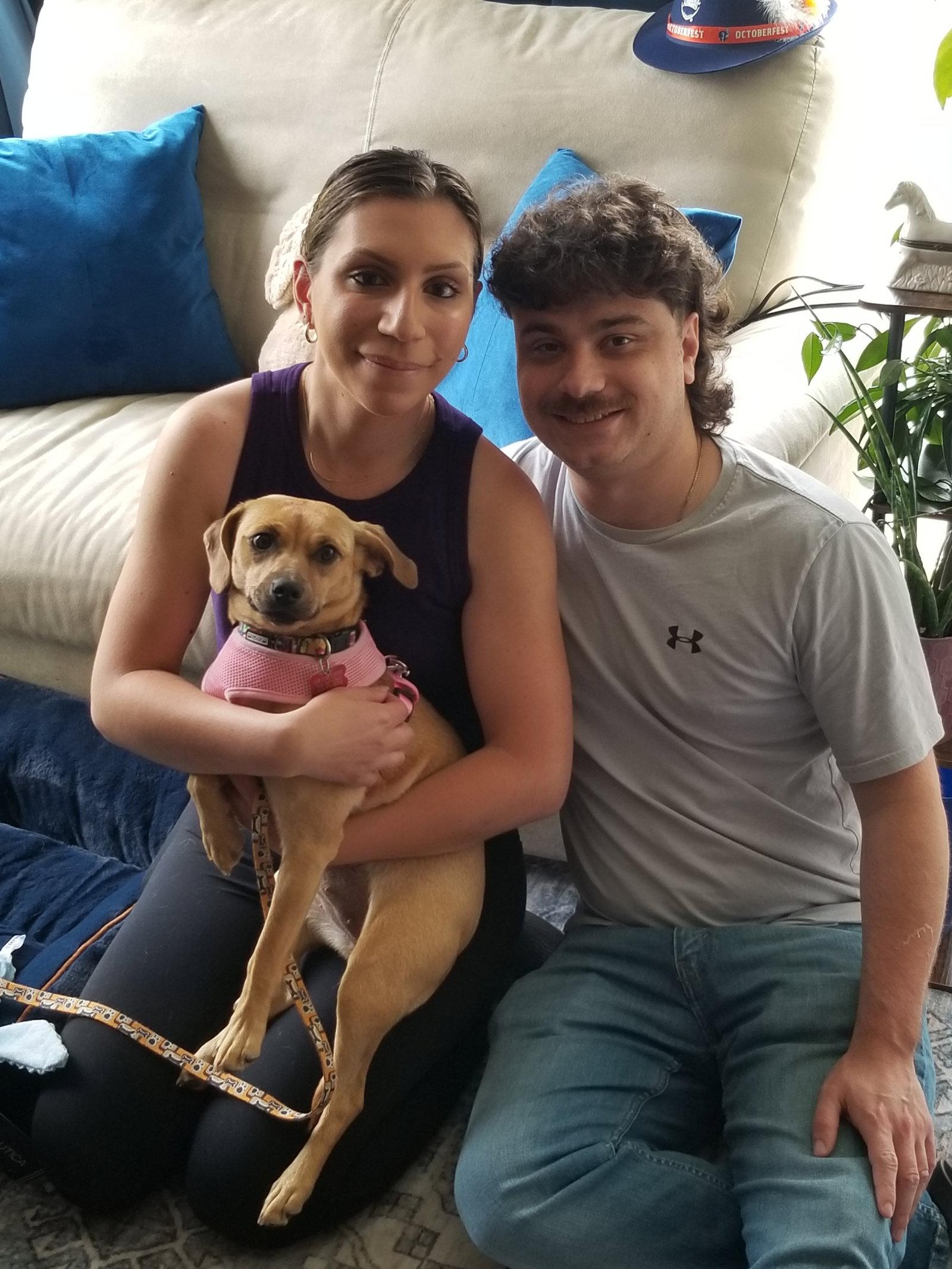 Sugar, Adopted, Puppy Female Terrier.