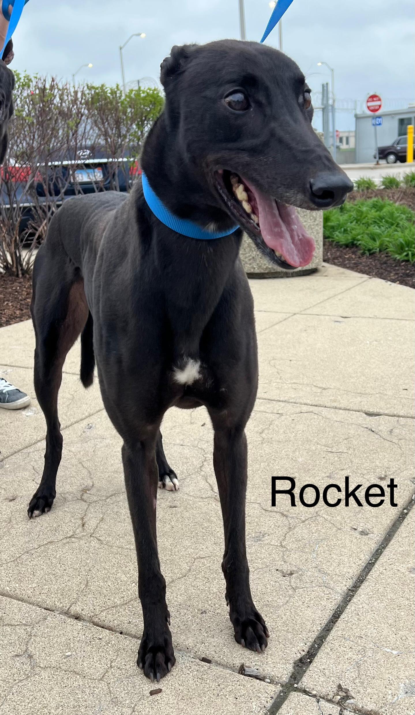 Rocket