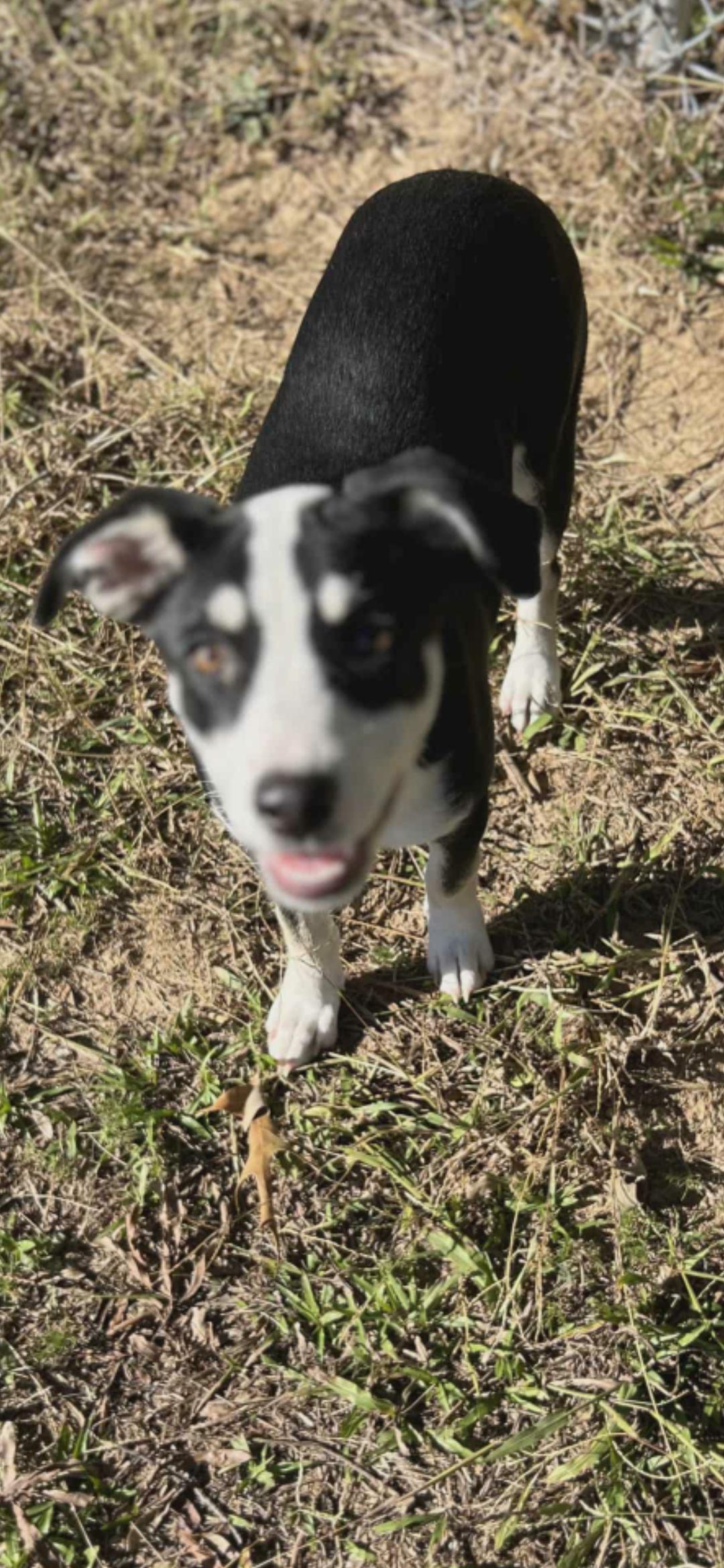 Ellie