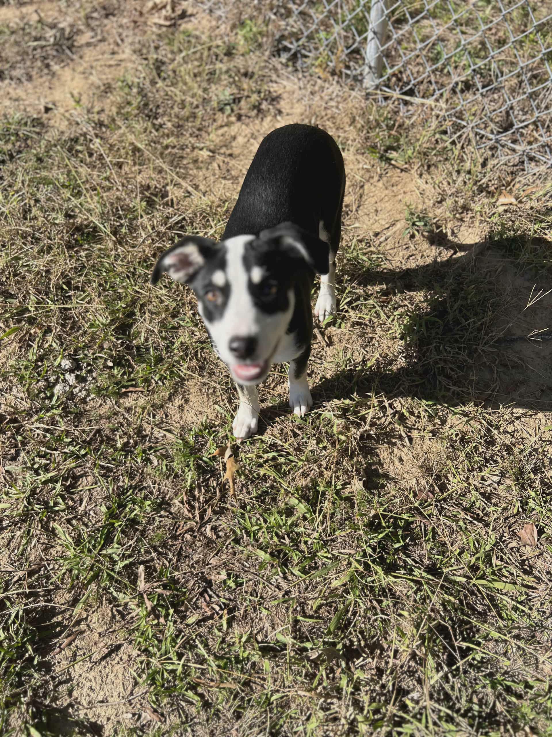 Ellie
