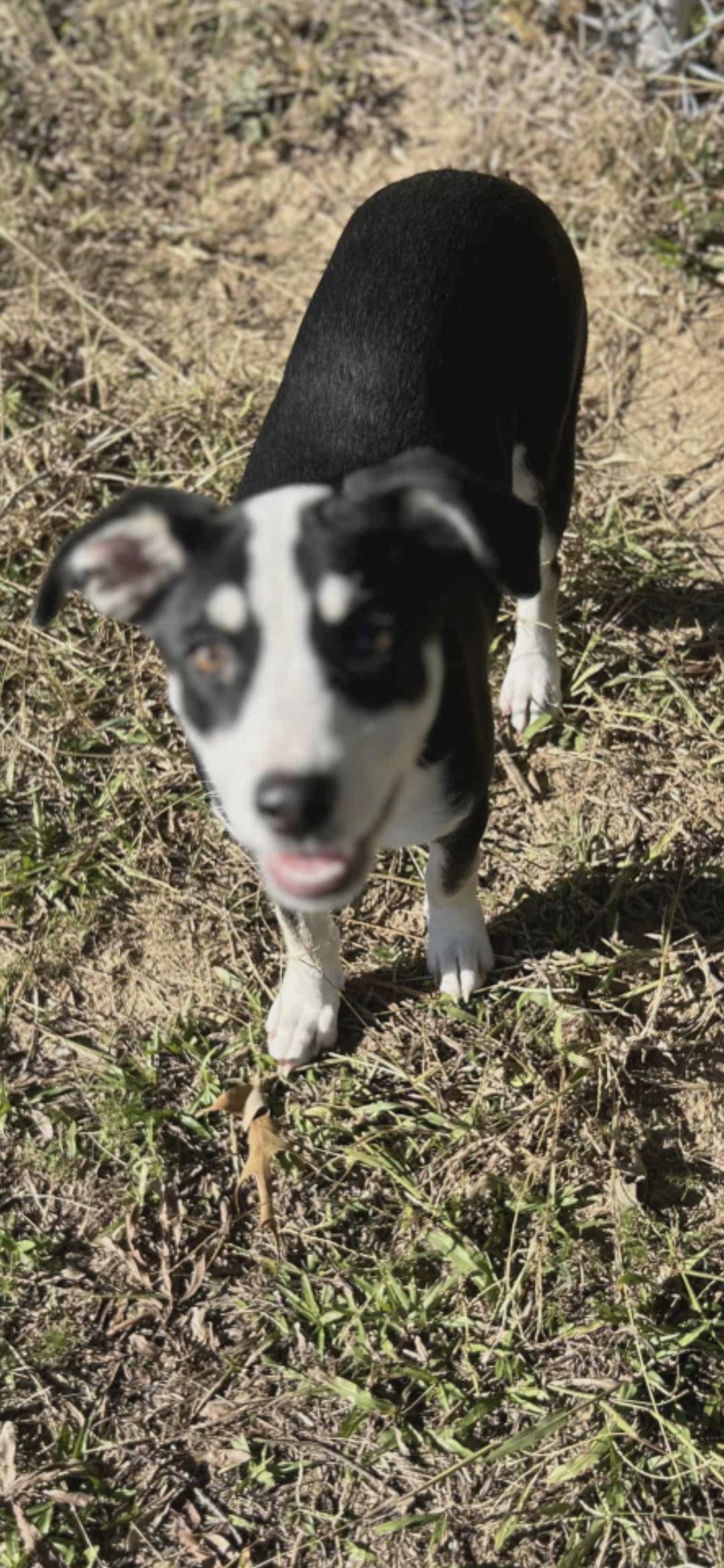 Ellie