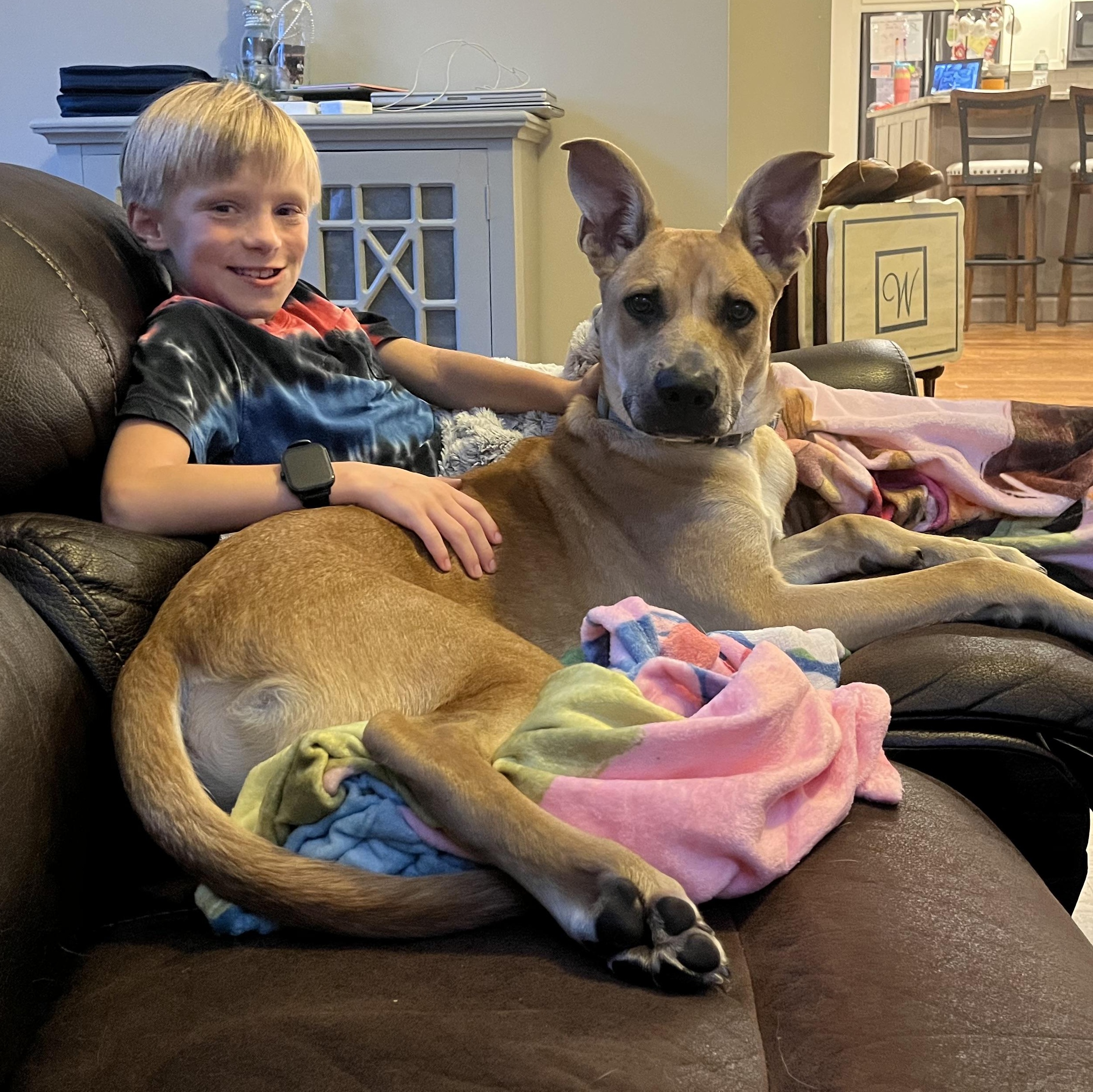 Enlarge River Bubbly - Local Pup, a Adoptable mixed breed in Andover, MA image 5/6
