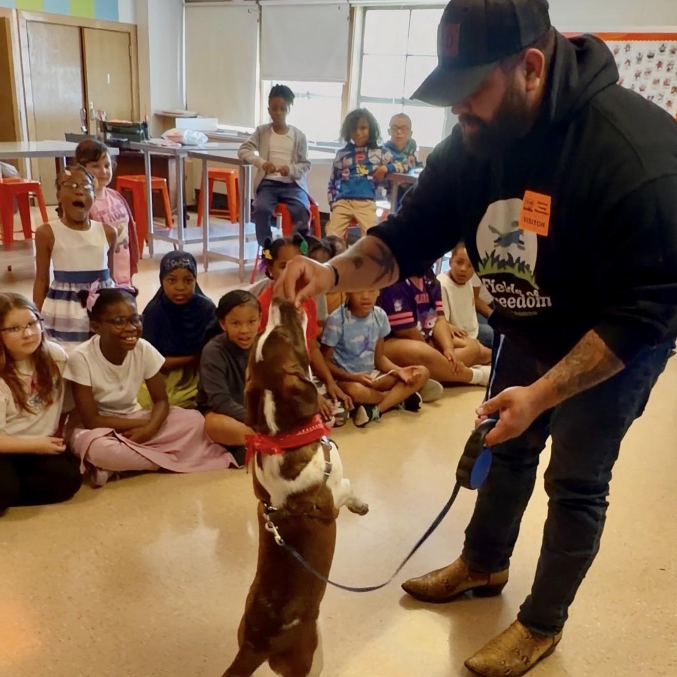 Enlarge Peanut , an adopted mixed breed in Junction City, KY image 3/4