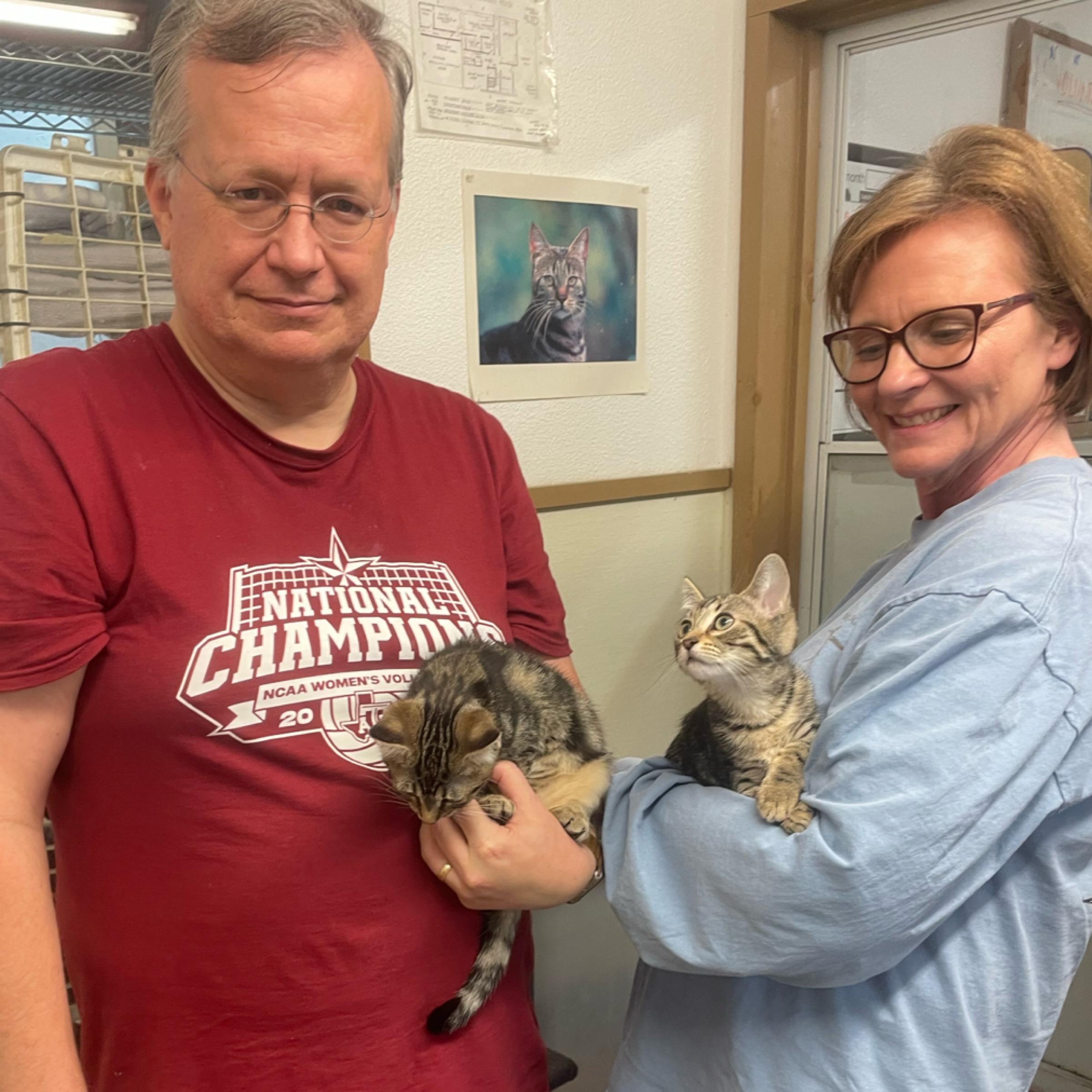 Enlarge Ash, an adopted mixed breed in Kingwood, TX image 6/6