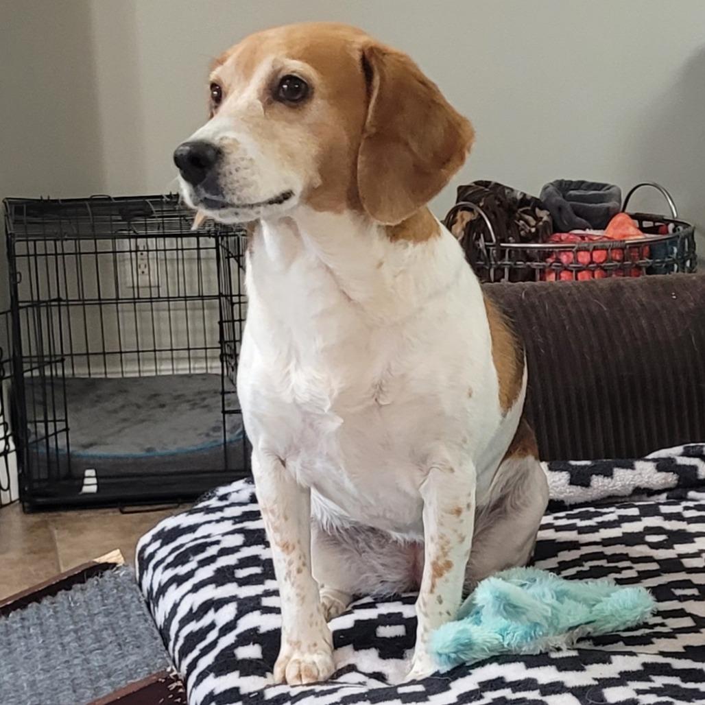 Riley — thumbnail 2