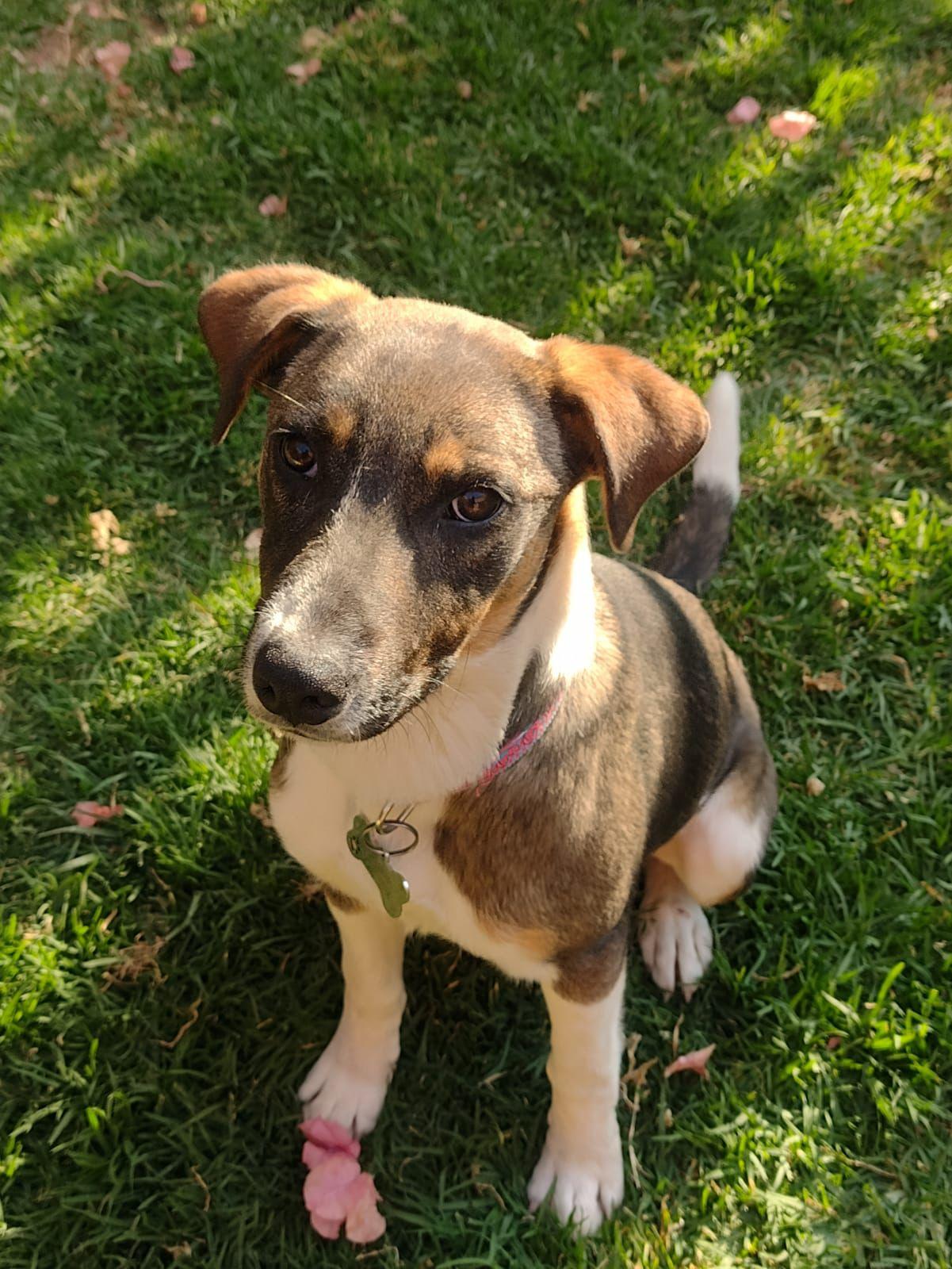 Moka — thumbnail 3