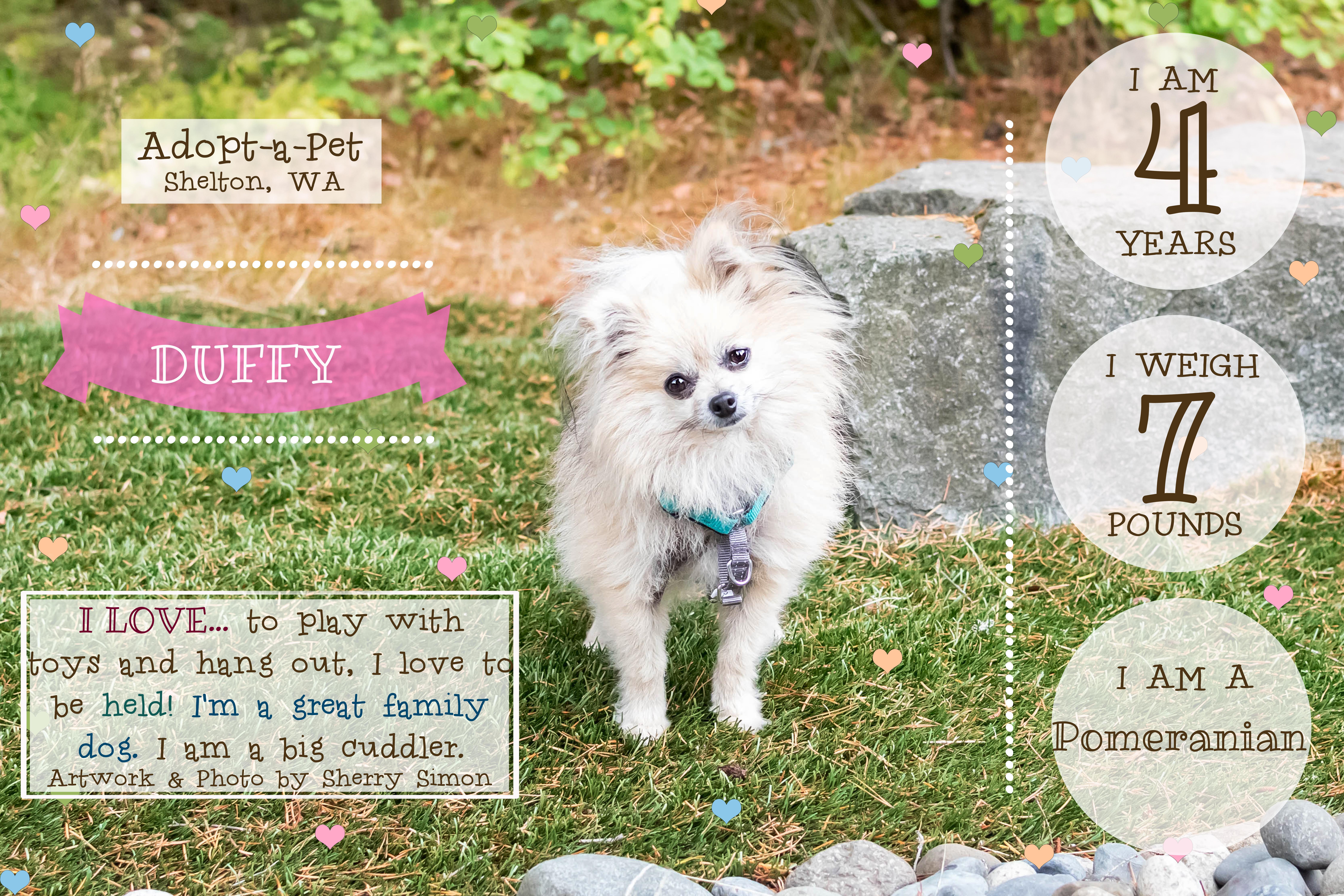 DUFFY, Adult Female unknown