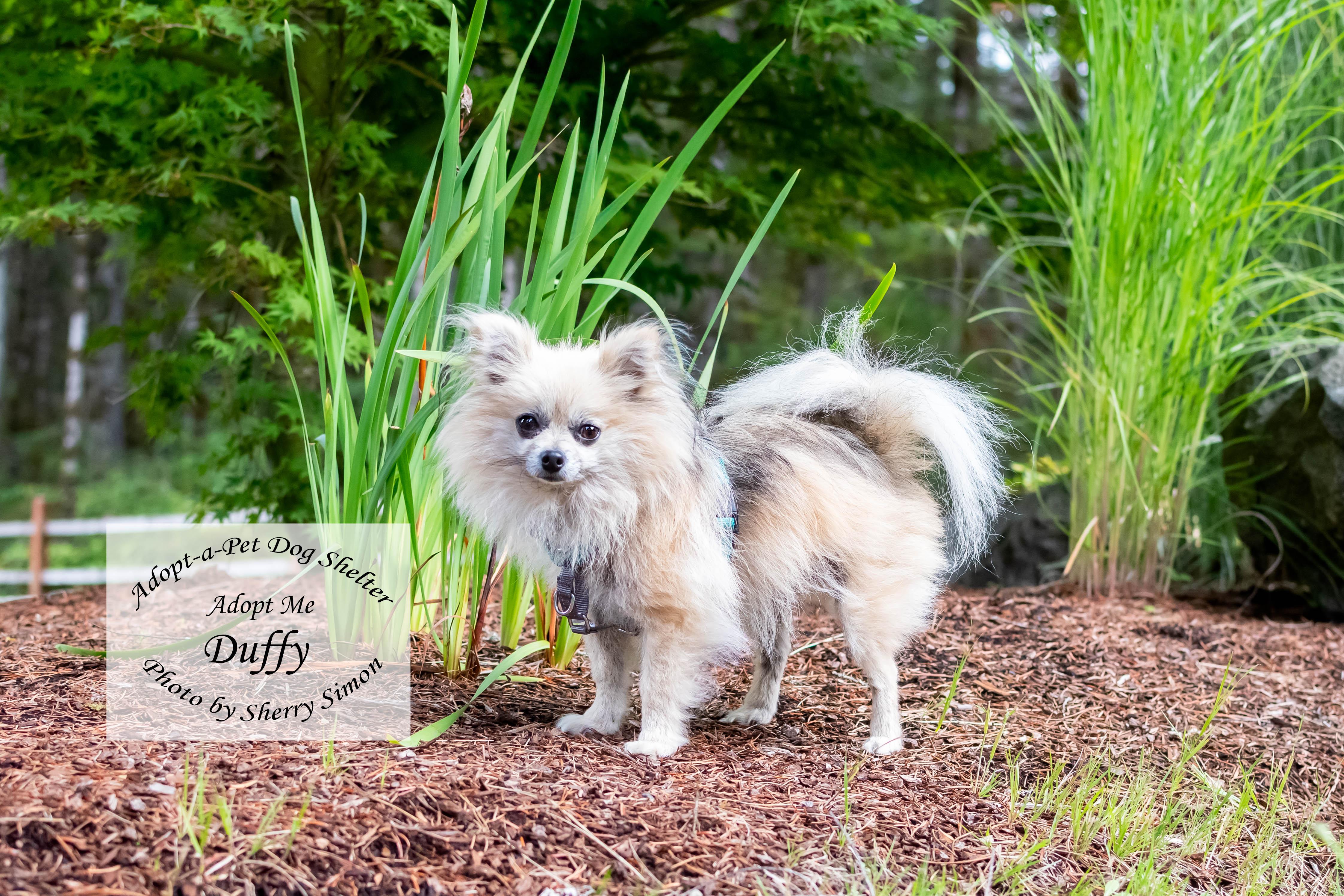 DUFFY photo 4