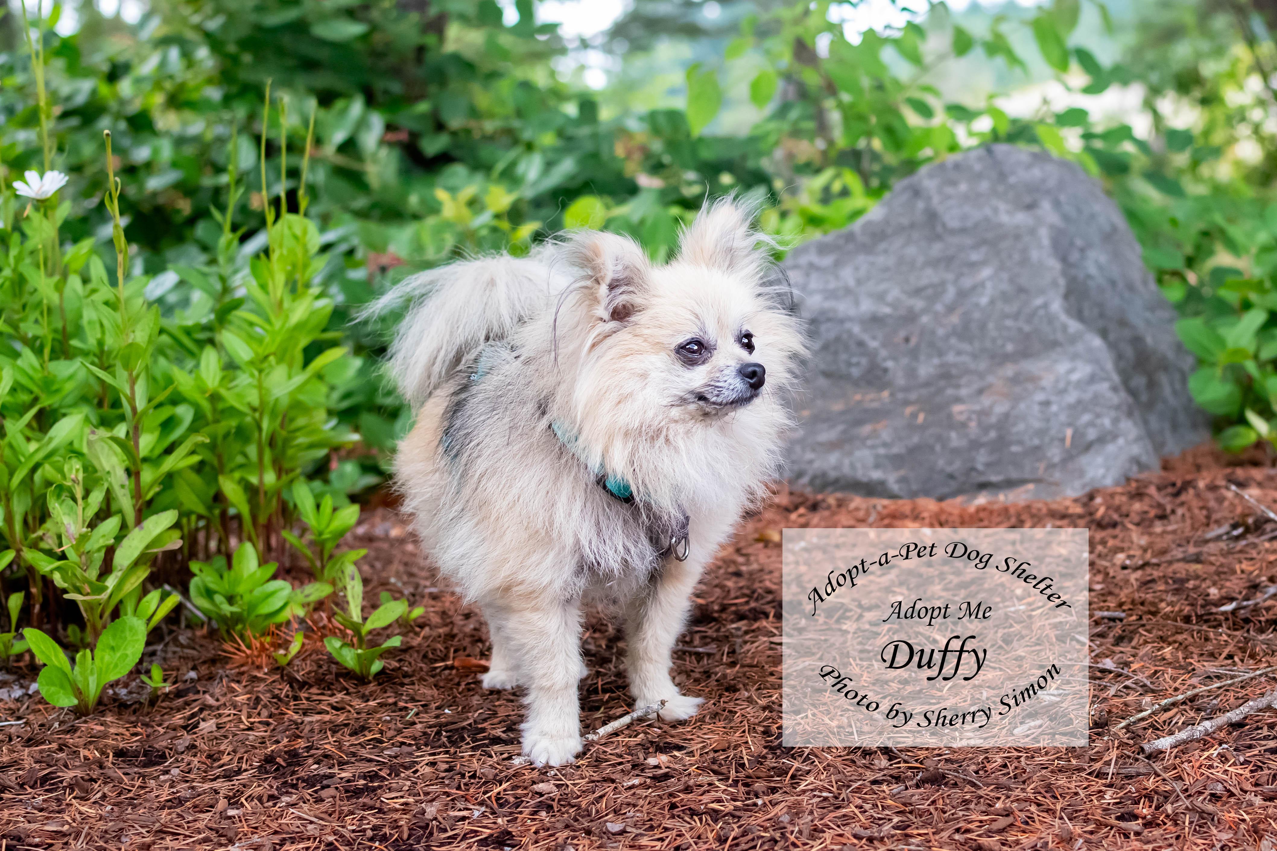 DUFFY photo 5