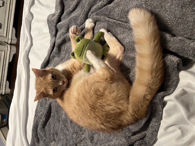 Nala photo 2