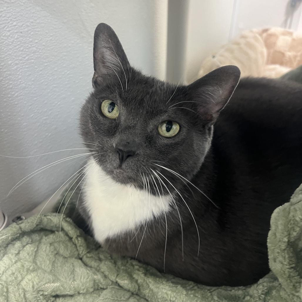 Mama — thumbnail 4