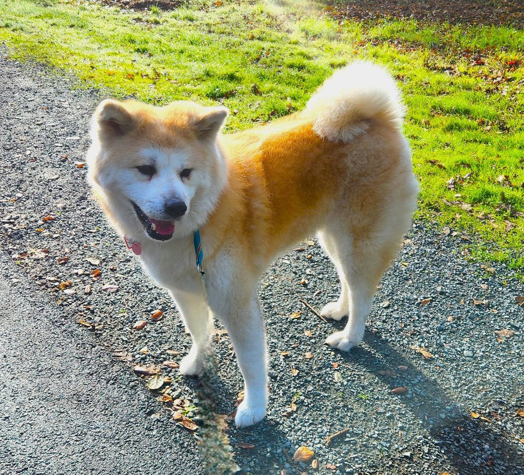 HIROMI photo 4