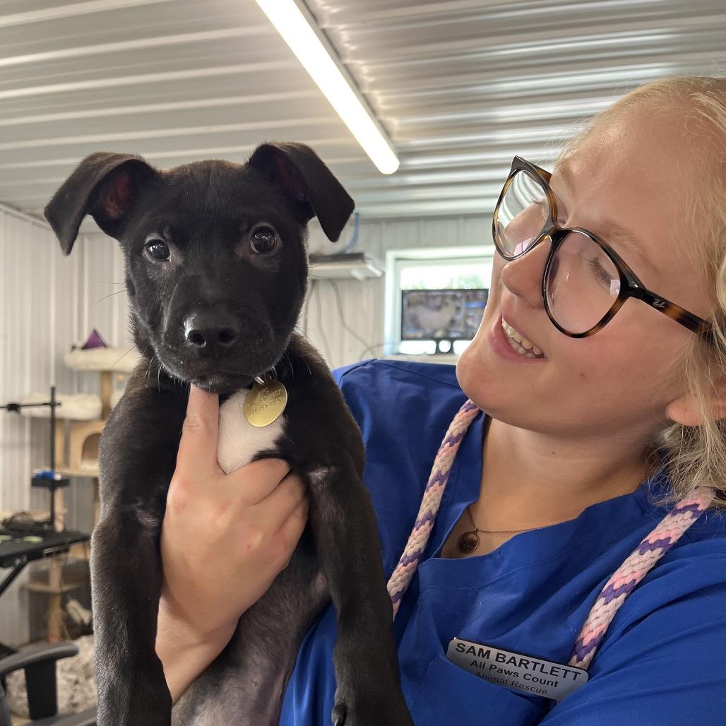Enlarge Squirt, a Adoptable mixed breed in Spanish Fork, UT image 2/6