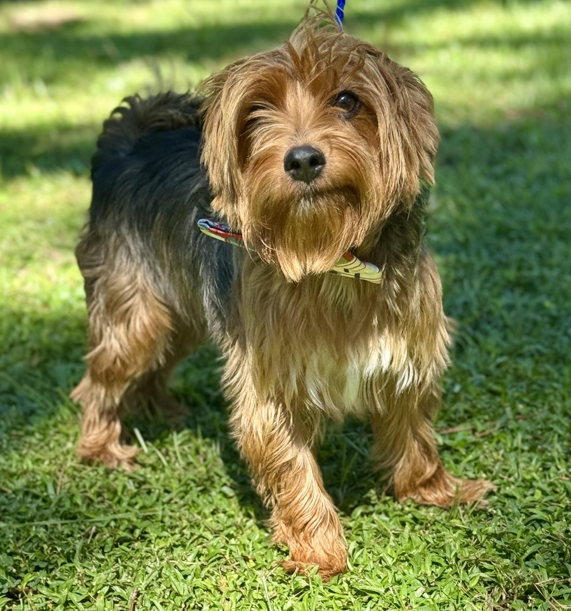 FRANKIE