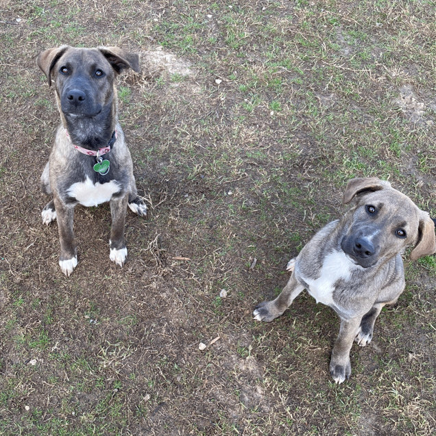 Gordita & Mavi (CP), Young Female unknown