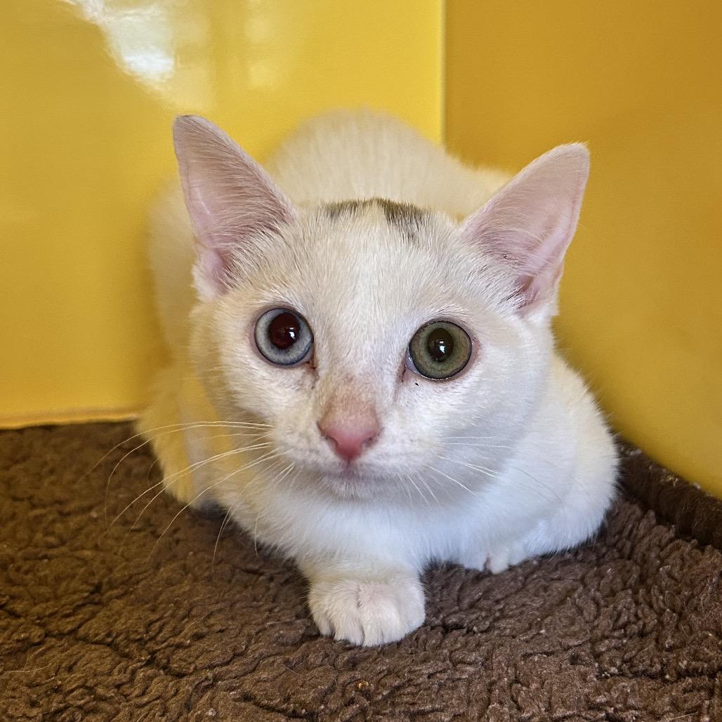 Tiffany Wilson — thumbnail 2