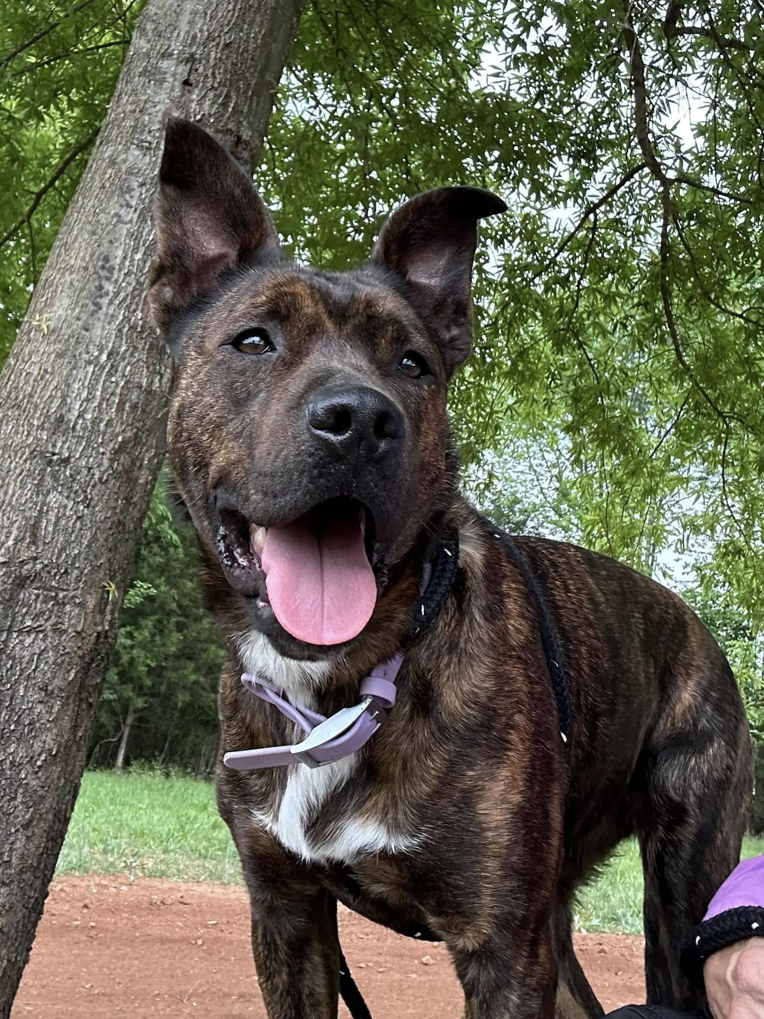 Taeko