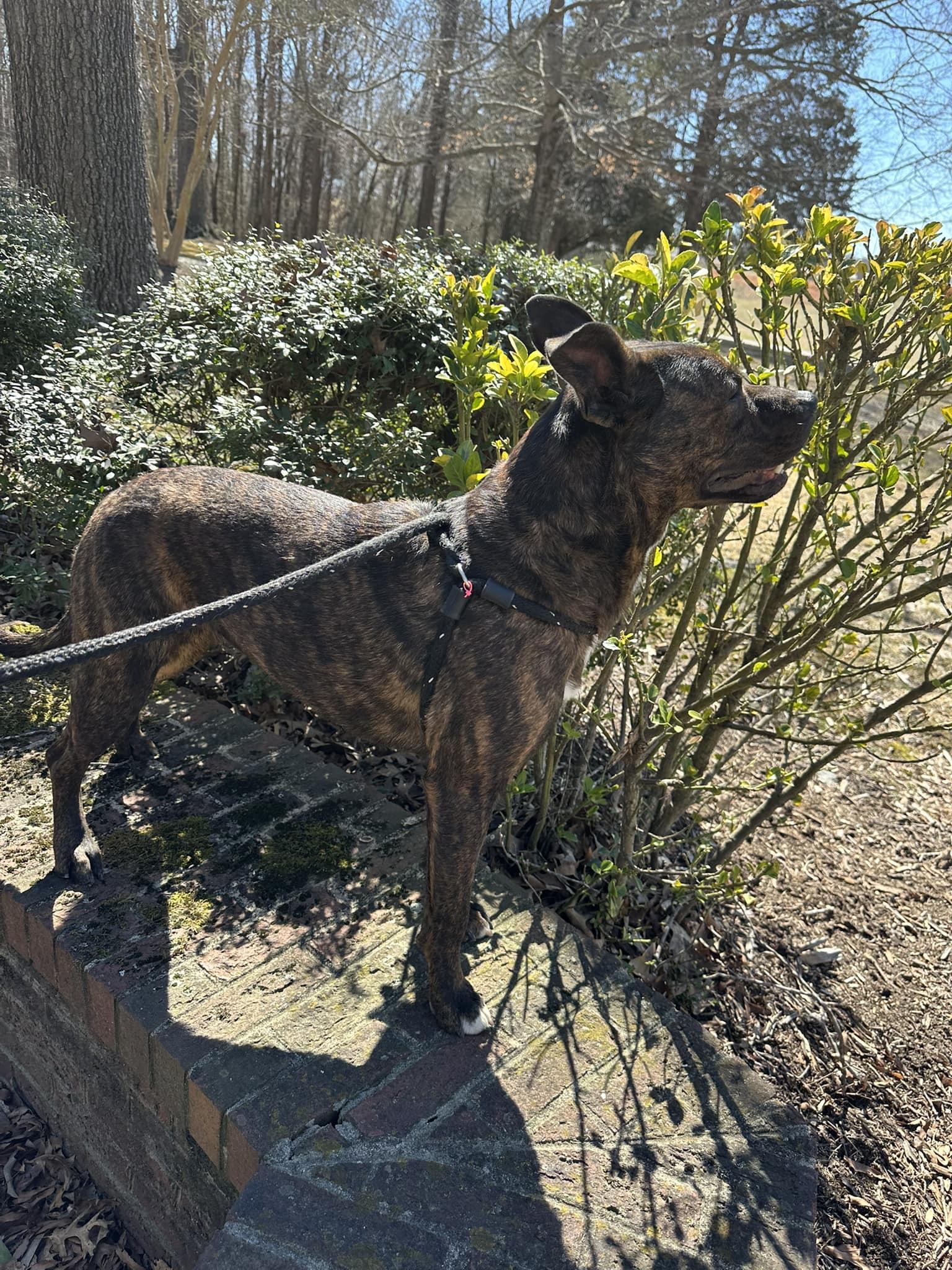 Taeko