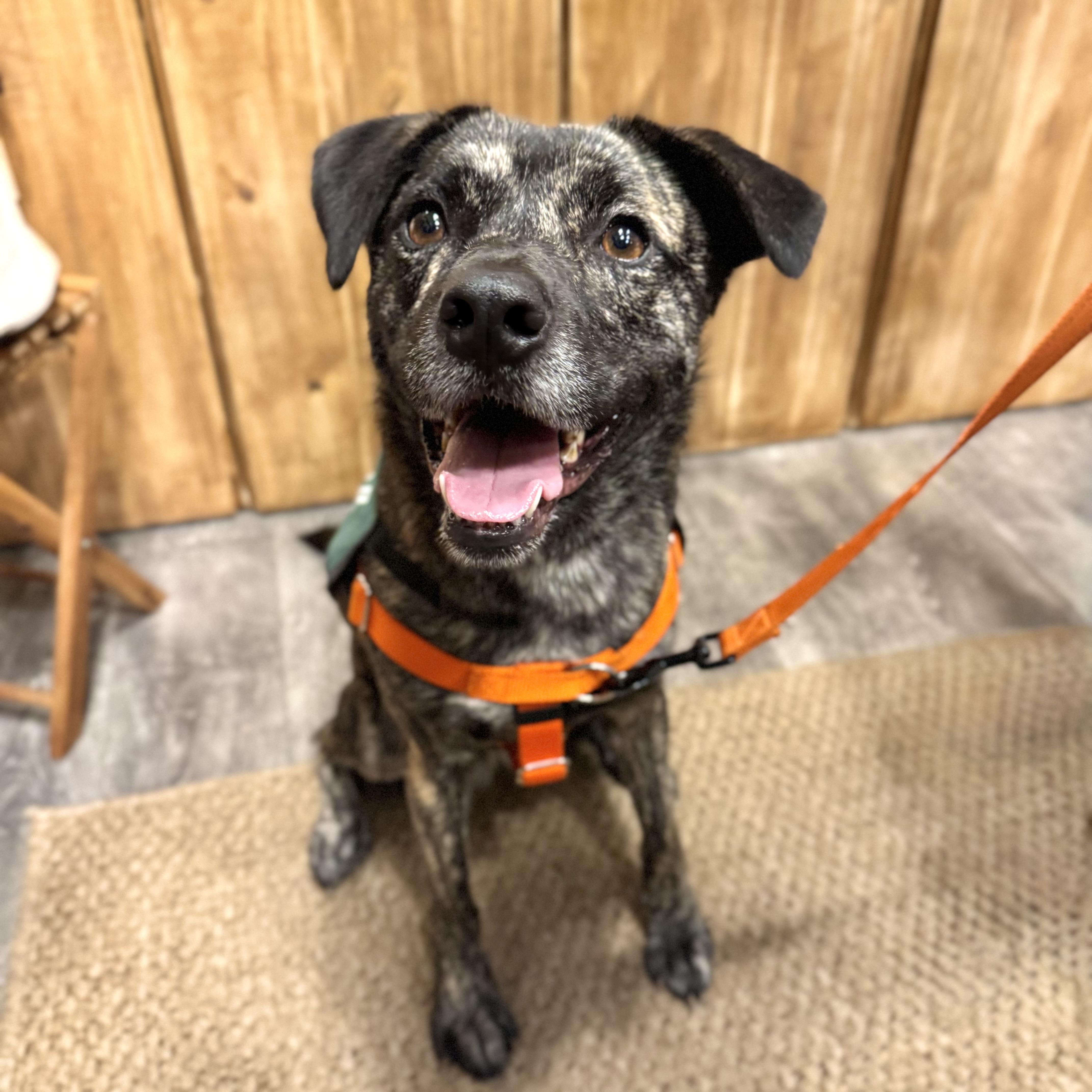 Firestarter thumbnail 2