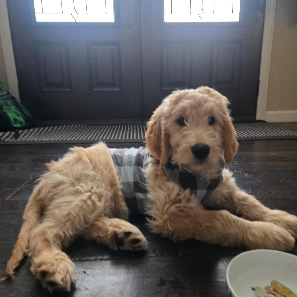 Charlotte thumbnail 2