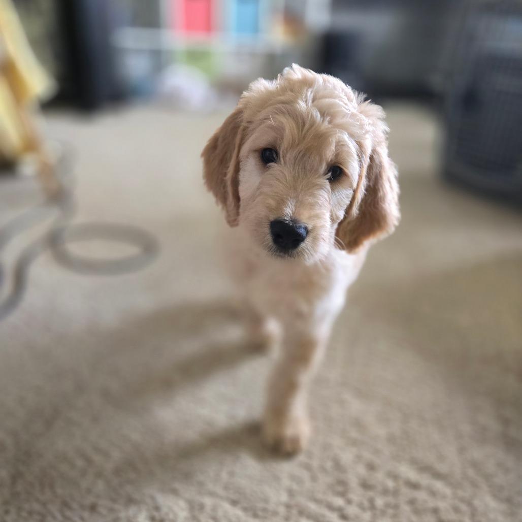 Charlotte thumbnail 3