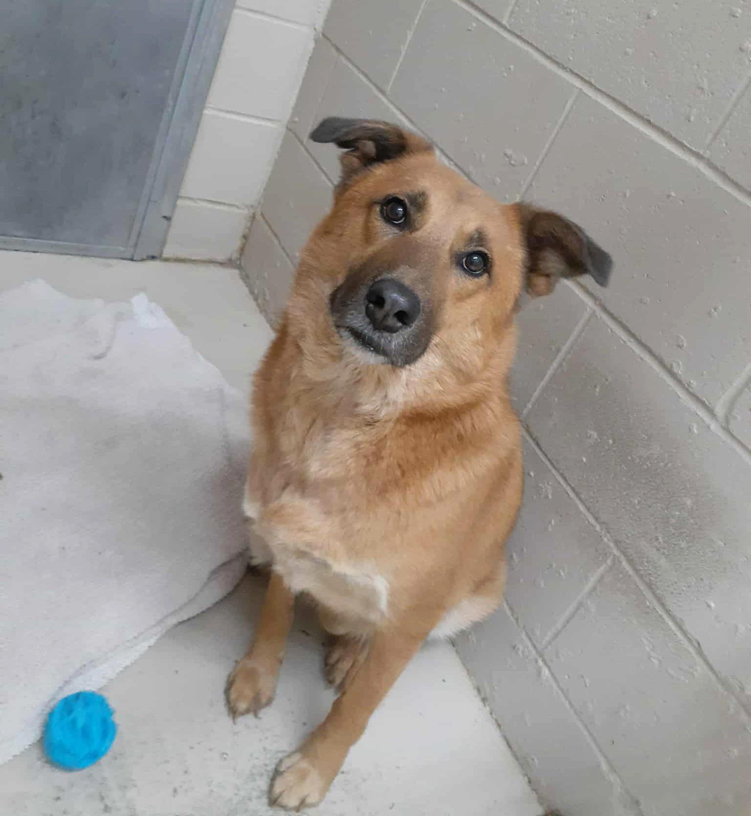 Aristotle thumbnail 4