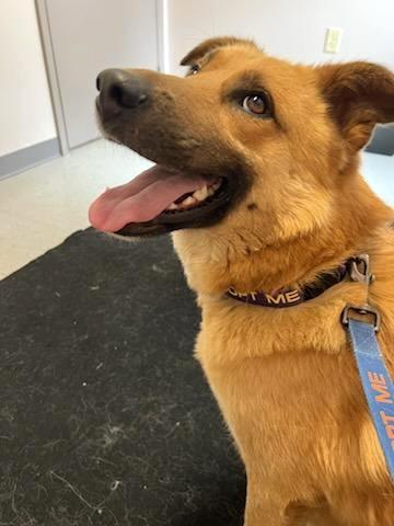 Aristotle thumbnail 4