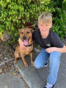 Enlarge Benny, a Adoptable mixed breed in San Diego, CA image 2/4