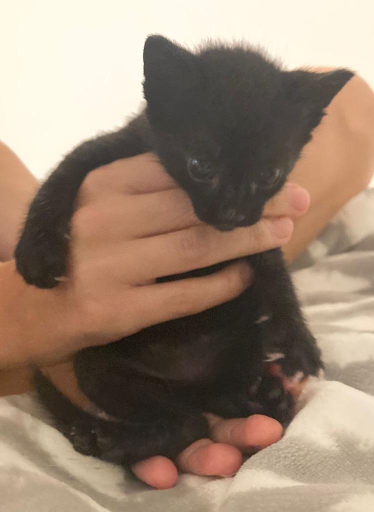 Miguel — thumbnail 2