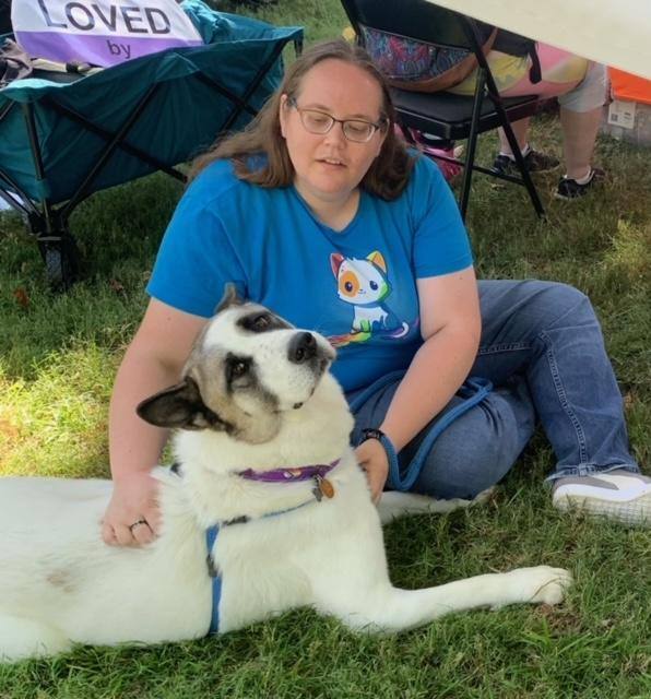 MARVIN, Adoptable, Adult Male Akita.