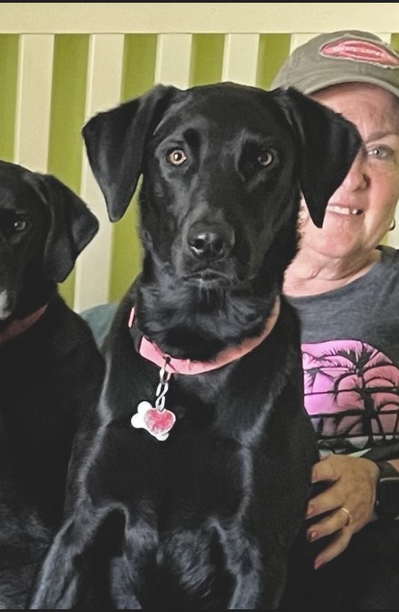 Maizey - Rehoming photo 5