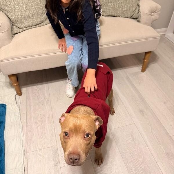 Benny Short King — thumbnail 4