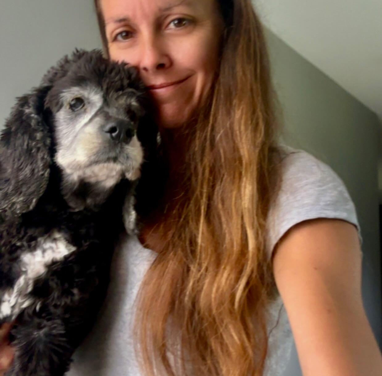 Arthur, a Adoptable Cocker Spaniel in Raleigh, NC image 3/6