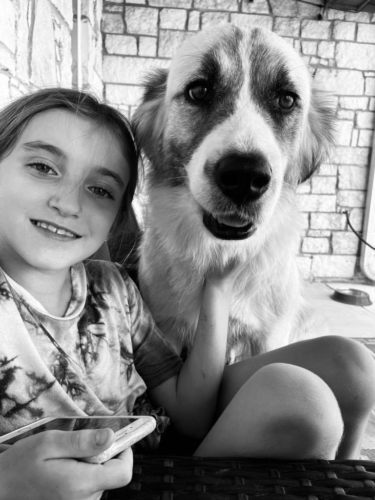 Enlarge Cocoa, a Adoptable mixed breed in Dallas, TX image 3/6