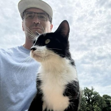 Pepe, a ADOPTABLE Domestic Short Hair in Springtown, TX image 2/4