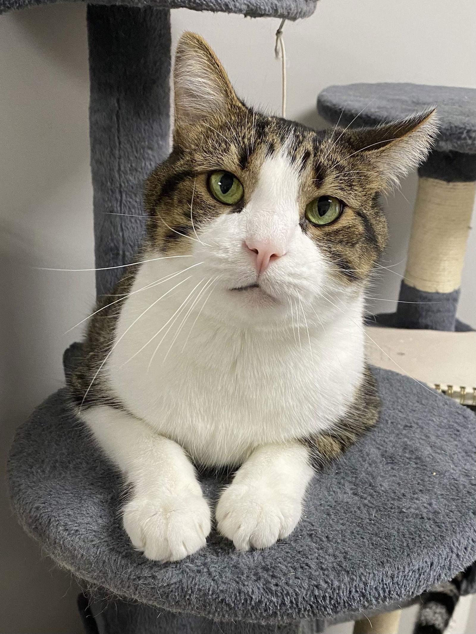 Wutang — thumbnail 2